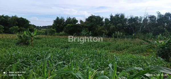 image KAVLING TANAH DI KEDAMEAN (1)