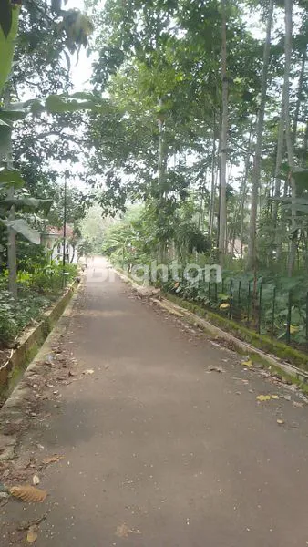 image TANAH INVESTASI DAERAH MIJEN - BSB (2)