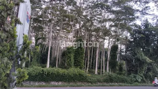 TANAH LETAK STRATEGIS, SANGAT SUBUR UNTUK KEBUN BUAH2AN JUGA COCOK UNTUK RUMAH MAKAN, PENGINAPAN, SEKOLAH