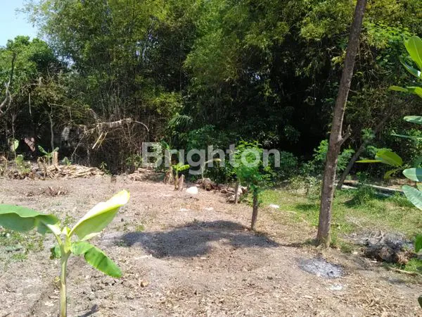 image TANAH SIAP BANGUN (1)