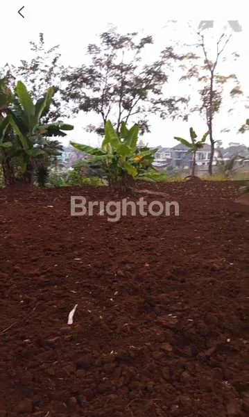 image TANAH KEBUN DAN SAWAH DI CIMAHI UTARA (3)