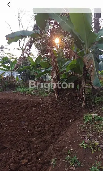 image TANAH KEBUN DAN SAWAH DI CIMAHI UTARA (4)