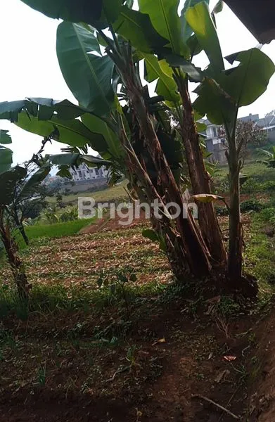 image TANAH KEBUN DAN SAWAH DI CIMAHI UTARA (7)
