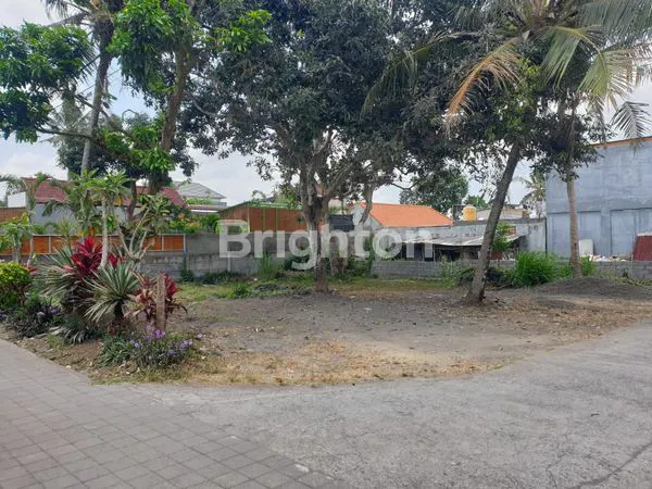 TANAH STRATEGIS DI DESA CEPAKA