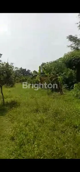 image LAHAN TANAH 3000 M² PARUNG PANJANG BOGOR COCOK UNTUK USAHA  (2)