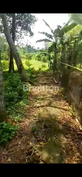 image LAHAN TANAH 3000 M² PARUNG PANJANG BOGOR COCOK UNTUK USAHA  (3)