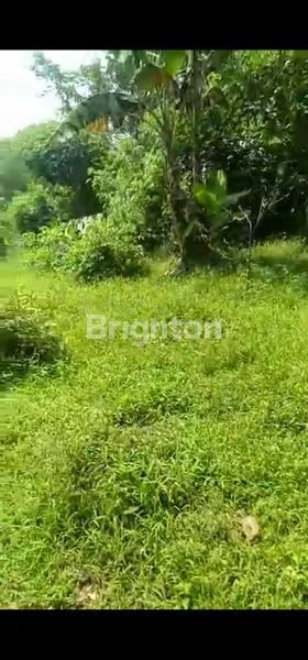 image LAHAN TANAH 3000 M² PARUNG PANJANG BOGOR COCOK UNTUK USAHA  (7)