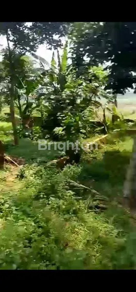 image LAHAN TANAH 3000 M² PARUNG PANJANG BOGOR COCOK UNTUK USAHA  (8)