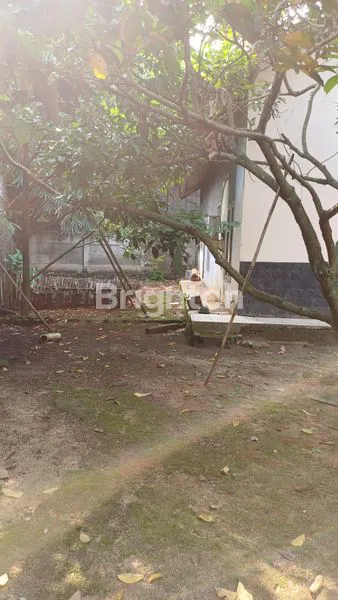 image KAPAN LAGI BELI TANAH DAPAT BONUS RUMAH BESAR DAN CANTIK? (5)