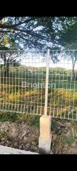 image TANAH STRATEGIS, MURAH, AREA KOMERSIL, NOL RAYA YONO SUWOYO, SURABAYA BARAT (1)