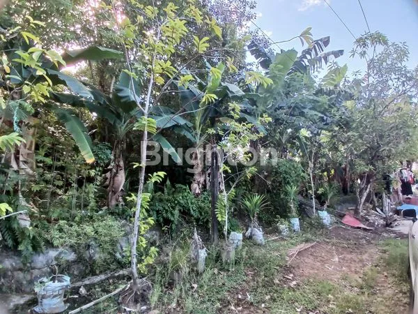 image DIJUAL TANAH PINGGIR JALAN COR PERUMAHAN LOKASI STRATEGIS  DALAM KOTA COCOK DIBUAT RUMAH TINGGAL, KONTRAKAN ATAU KOS KOSAN (2)