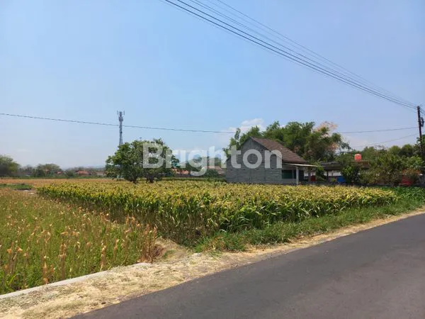 image TANAH 12X76 TAROKAN KEDIRI (1)