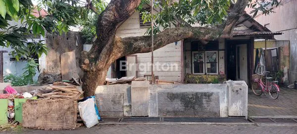 image RUMAH TUA HITUNG TANAH MURAH BINGIT YUK GERCEP JALAN BISA SIMPANGAN 2 MOBIL CABEAN  DEKAT JALAN JENDRAL SUDIRMAN SILIWANGI SEMARANG BARAT NO BANJIR (3)