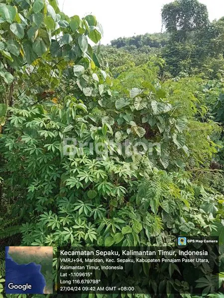 DIJUAL TANAH KAWASAN IKN