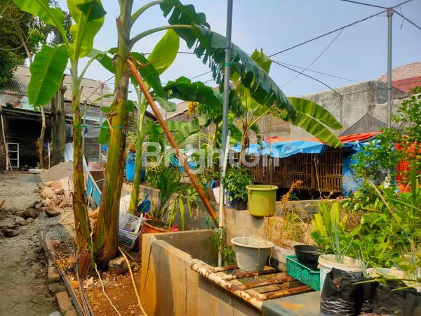 image RUMAH MUNGIL MINIMALIS BONUS KOLAM IKAN LELE DITANAH BELAKANG RUMAH CIJANTUNG (7)