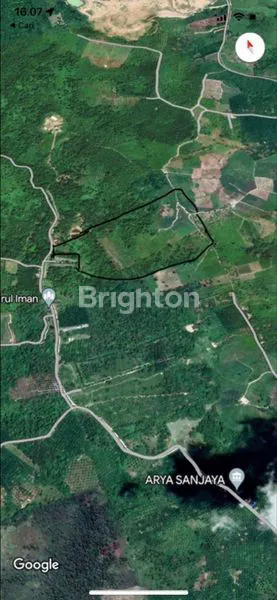 Gambar Property TANAH DENGAN KEBUN SAWIT