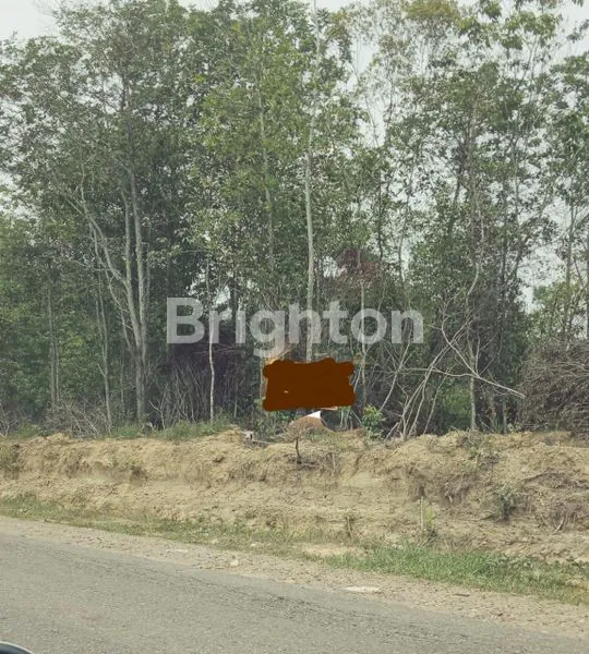 TANAH LUAS COCOK UNTUK USAHA