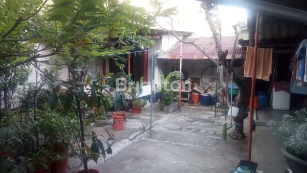 image JUAL RUMAH JALAN PETEMON (4)