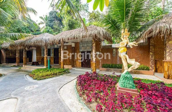 image TANAH SEKALIGUS VILLA DI BALI COCOK UNTUK INVESTASI  (3)