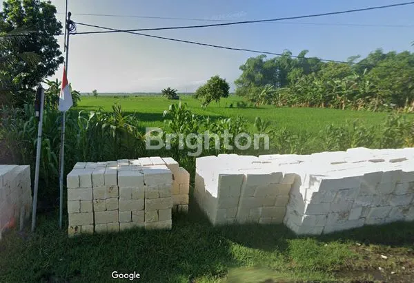 TANAH LUAS COCOK UNTUK PABRIK