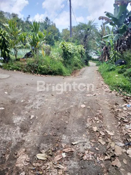 image 14 ARE INVESTASI TANAH MURAH DAN LUAS DI BEDUGUL (3)