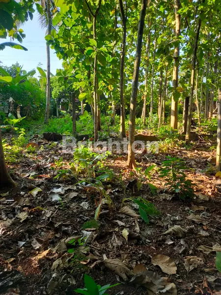 image DIJUAL TANAH DISAMPING JALAN UTAMA (1)