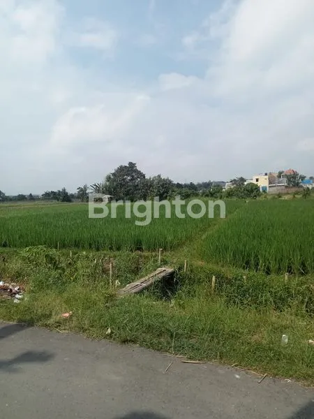 image SAWAH PRODUKTIF DIJUAL BAWAH HARGA PASAR - DEKAT STADION JSG AJUNG (2)
