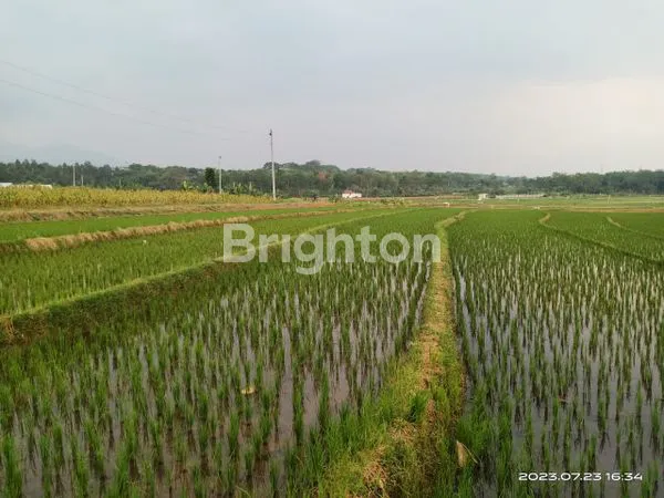 image TANAH INVESTASI LOKASI MIJEN (4)