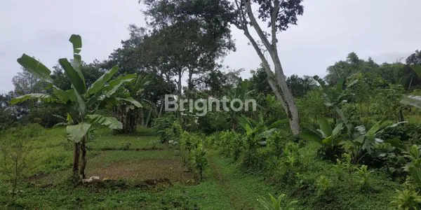 image LAHAN KEBUN COCOK BUAT VILLA DENGAN VIEW GUNUNG SALAK DAN GUNUNG GEDE PANGRANGO DI DESA PASIR ANGIN MEGA MENDUNG BOGOR (3)