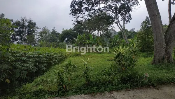 image LAHAN KEBUN COCOK BUAT VILLA DENGAN VIEW GUNUNG SALAK DAN GUNUNG GEDE PANGRANGO DI DESA PASIR ANGIN MEGA MENDUNG BOGOR (5)