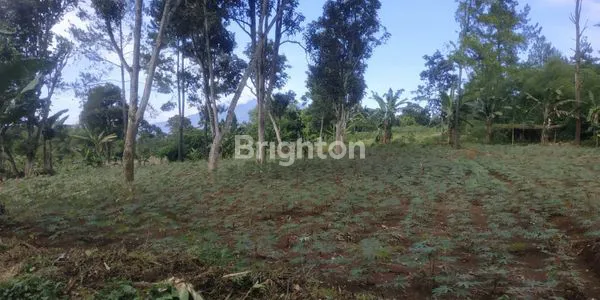 image LAHAN KEBUN COCOK BUAT VILLA DENGAN VIEW GUNUNG SALAK DAN GUNUNG GEDE PANGRANGO DI DESA PASIR ANGIN MEGA MENDUNG BOGOR (7)
