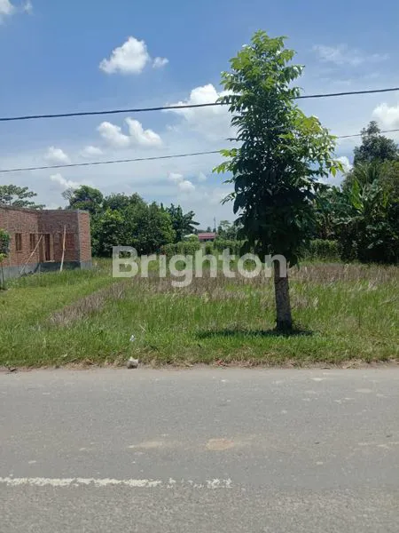 image TANAH STRATEGIS  (1)