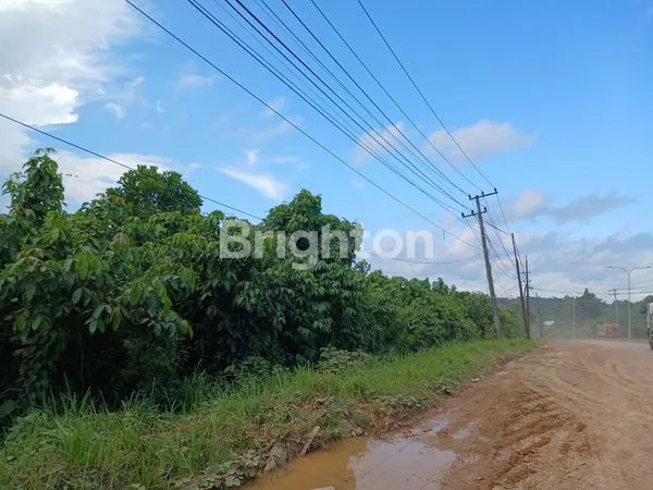 image DIJUAL TANAH/LAHAN PINGGIR JALAN POROS KILO 13 PULAU BALANG  COCOK DIBUAT GUDANG, PABRIK, WORKSHOP DAN USAHA (1)