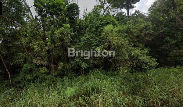 image TANAH/LAHAN DAERAH SEKUPANG BATAM (3)