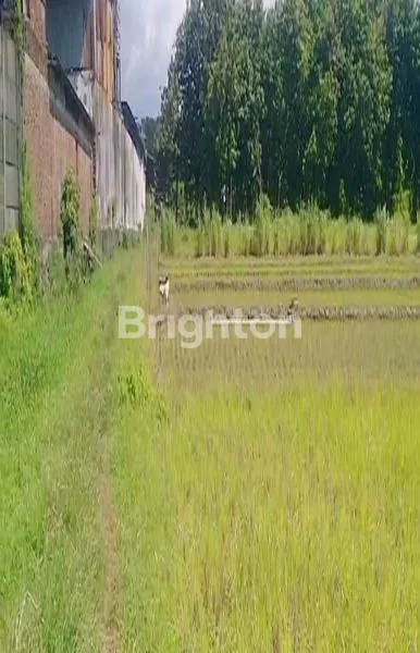 TANAH PRODUKTIF DI MOJOKERTO