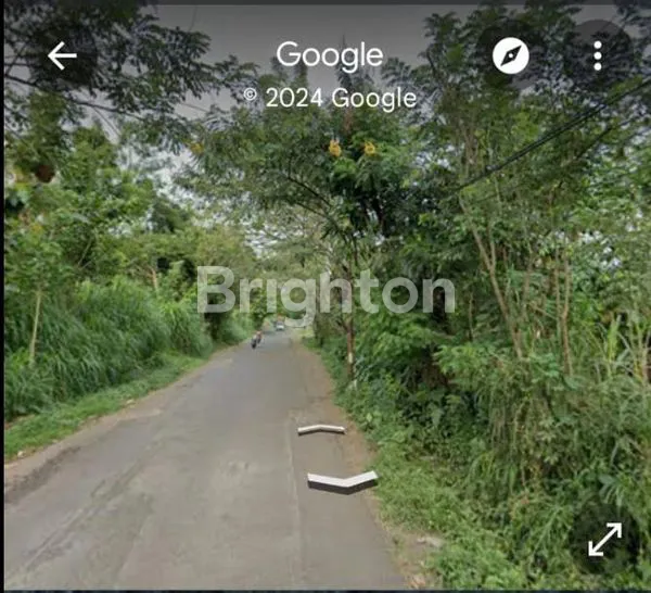 image LAHAN 10 HEKTAR DI SINGOSARI MALANG (3)