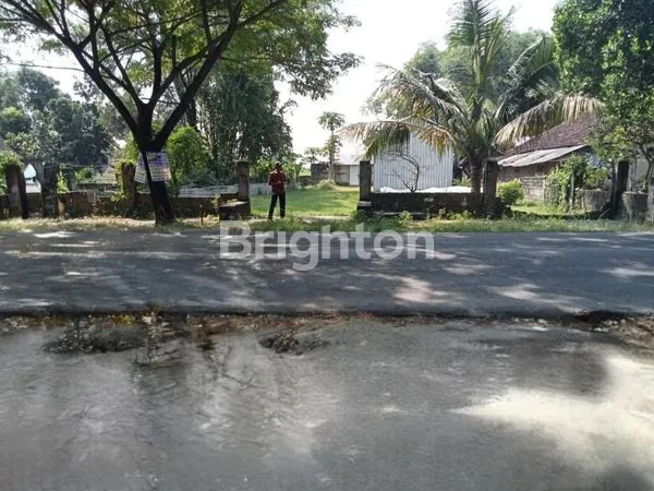 image TANAH DI BOJONEGORO JAWA TIMUR (1)