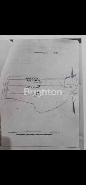 image HOTEL DI KOTA TRENGGALEK JAWA TIMUR (2)