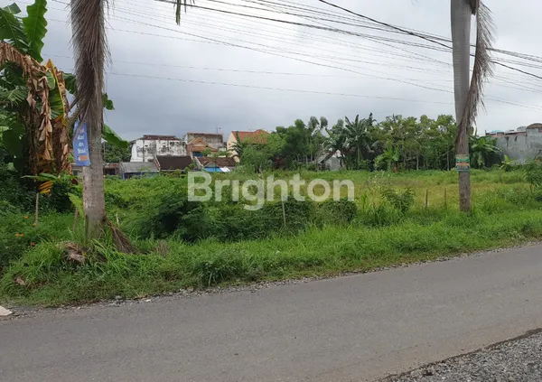 TANAH DI JALAN RAYA KLATAK - BANYUWANGI