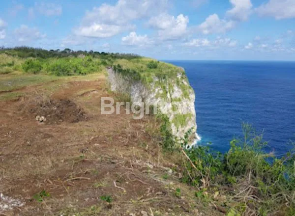 image TANAH DATAR VIEW LAUT DI SEKARTAJI CLIFF NUSA PENIDA, BALI (1)
