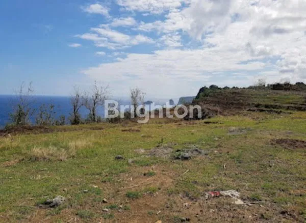 image TANAH DATAR VIEW LAUT DI SEKARTAJI CLIFF NUSA PENIDA, BALI (2)