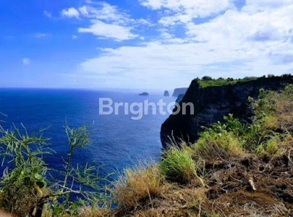 image TANAH DATAR VIEW LAUT DI SEKARTAJI CLIFF NUSA PENIDA, BALI (3)