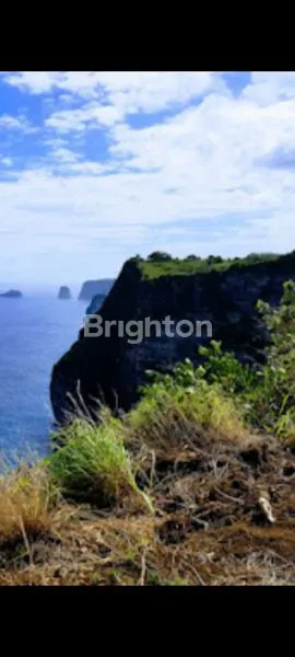 image TANAH DATAR VIEW LAUT DI SEKARTAJI CLIFF NUSA PENIDA, BALI (7)