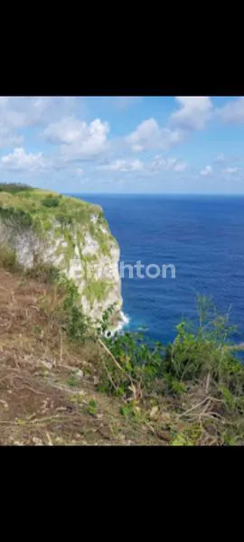 image TANAH DATAR VIEW LAUT DI SEKARTAJI CLIFF NUSA PENIDA, BALI (8)