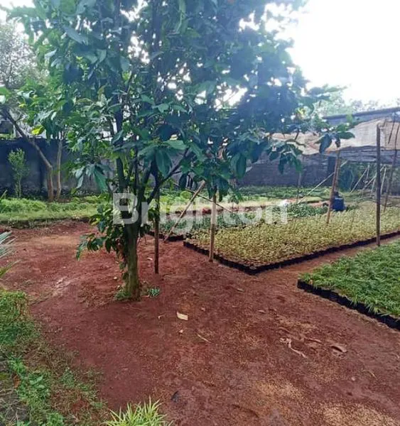 image TANAH SAWANGAN LT 2250 LEBAR 60 M² COCOK UNTUK USAHA  (1)