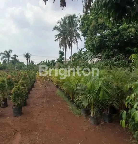 image TANAH SAWANGAN LT 2250 LEBAR 60 M² COCOK UNTUK USAHA  (2)