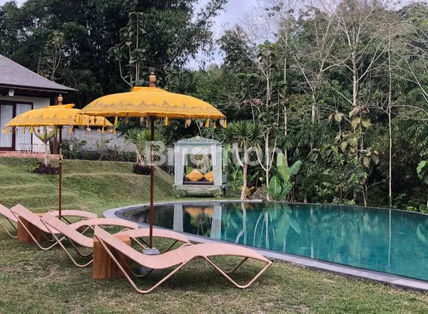 VILLA 4 UNIT ASRI VIEW GUNUNG JUGA KEBUN JERUK DI PAYANGAN UBUD