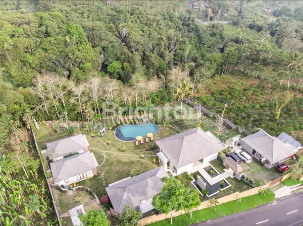 image VILLA 4 UNIT ASRI VIEW GUNUNG JUGA KEBUN JERUK DI PAYANGAN UBUD (6)