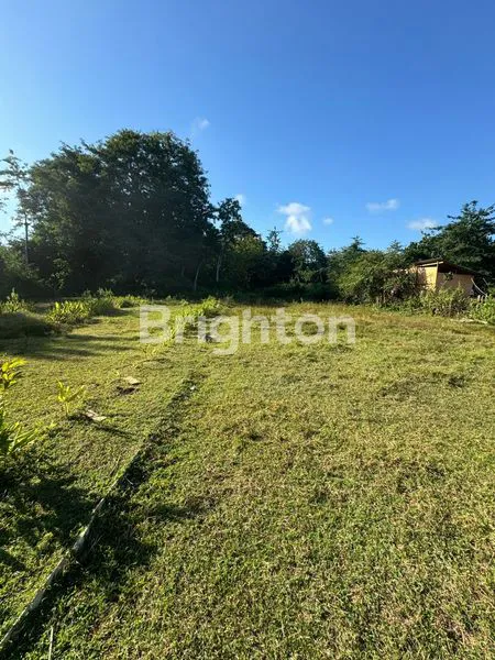 TANAH DATAR DI UNGASAN COCOK UNTUK BANGUN VILLA DEKAT JALAN UTAMA