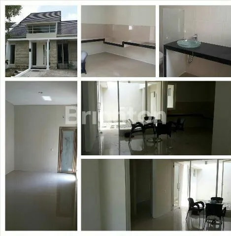 image PALMA GRANDIA (1)